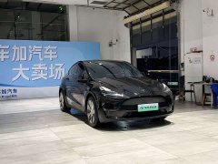 Tesla Model Y Long Range All-Wheel Drive - ფოტო 3