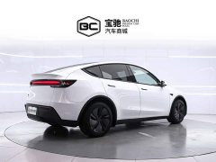 Tesla Model Y Rear-Wheel Drive - ფოტო 3