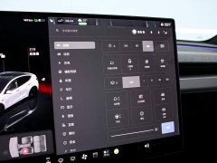 Tesla Model Y Rear-Wheel Drive - ფოტო 8