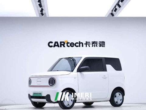 2025 Geely Panda 2024 Panda Mini 200km Endurance Edition - ავტომობილი ჩინეთიდან