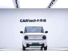 Geely Panda 2024 Panda Mini 200km Endurance Edition - ფოტო 3