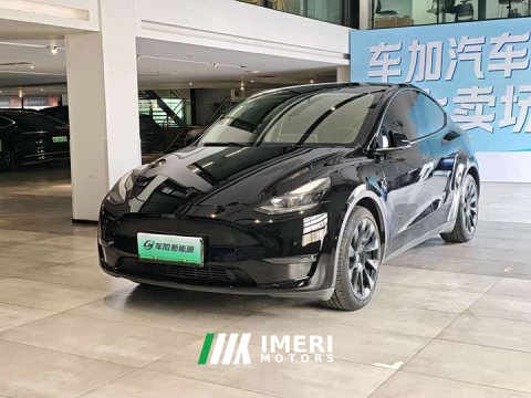 2021 Tesla Model Y Standard Range RWD - ავტომობილი ჩინეთიდან
