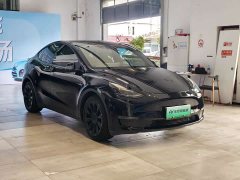 Tesla Model Y Standard Range RWD - ფოტო 3