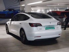 Tesla Model 3 Rear-Wheel Drive - ფოტო 9