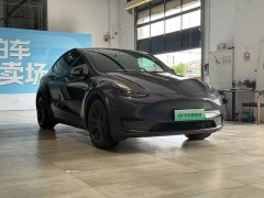 Tesla Model Y Rear-Wheel Drive - ფოტო 3
