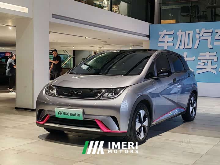 BYD Dolphin 420km Fashion Edition - ავტომობილი ჩინეთიდან