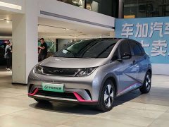 BYD Dolphin 420km Fashion Edition - ფოტო 1