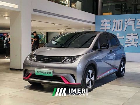 2023 BYD Dolphin 420km Fashion Edition - ავტომობილი ჩინეთიდან