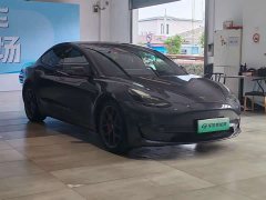 Tesla Model 3 Performance All-Wheel Drive 3D6 - ფოტო 3