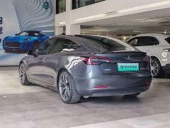 Tesla Model 3 Performance All-Wheel Drive 3D6 - ფოტო 9