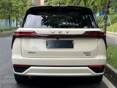 Great Wall WEY Blue Mountain Intelligent Advanced 4WD Max - ფოტო 10