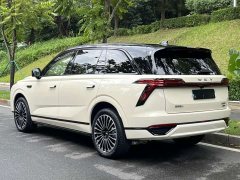 Great Wall WEY Blue Mountain Intelligent Advanced 4WD Max - ფოტო 13