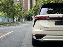 Great Wall WEY Blue Mountain Intelligent Advanced 4WD Max - ფოტო 18
