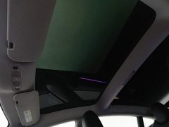 Tesla Model 3 Performance All-Wheel Drive - ფოტო 14
