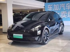 Tesla Model Y Standard Range RWD - ფოტო 1