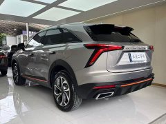 Haval Divine Beast 1.5T Smart Enjoy Edition - ფოტო 13