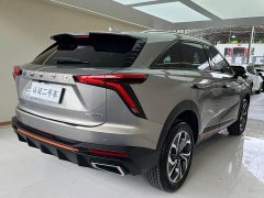Haval Divine Beast 1.5T Smart Enjoy Edition - ფოტო 17