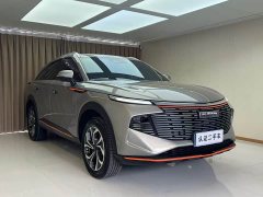 Haval Divine Beast 1.5T Smart Enjoy Edition - ფოტო 9