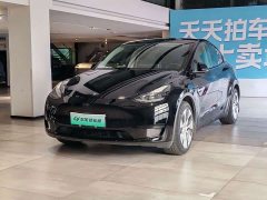 Tesla Model Y Rear-Wheel Drive - ფოტო 1