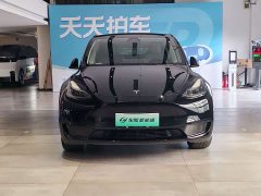 Tesla Model Y Rear-Wheel Drive - ფოტო 2