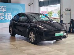 Tesla Model Y Rear-Wheel Drive - ფოტო 3
