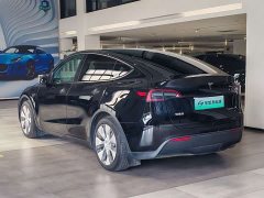 Tesla Model Y Rear-Wheel Drive - ფოტო 7