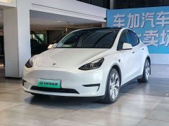 Tesla Model Y Standard Range RWD - ფოტო 1