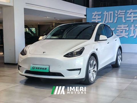 2021 Tesla Model Y Standard Range RWD - ავტომობილი ჩინეთიდან