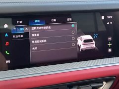 Porsche Cayenne 3.0T - ფოტო 16