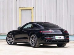 Mercedes-Benz AMG GT AMG GT 50 - ფოტო 4