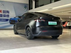 Tesla Model Y Long Range All-Wheel Drive - ფოტო 7
