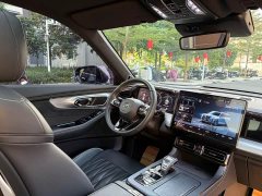 GAC Aion GS8 Dual Engine 2.0T M Two-Wheel Drive Luxury Edition (7-Seater) - photo 19
