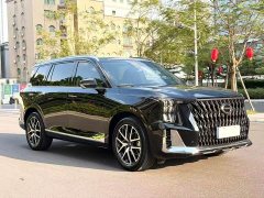 GAC Aion GS8 Dual Engine 2.0T M Two-Wheel Drive Luxury Edition (7-Seater) - photo 3