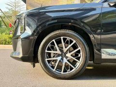GAC Aion GS8 Dual Engine 2.0T M Two-Wheel Drive Luxury Edition (7-Seater) - photo 5