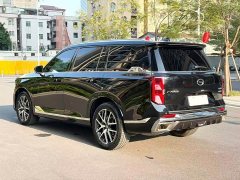 GAC Aion GS8 Dual Engine 2.0T M Two-Wheel Drive Luxury Edition (7-Seater) - photo 8