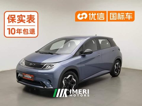 2024 BYD Dolphin 2025 420km Vitality Edition - ავტომობილი ჩინეთიდან