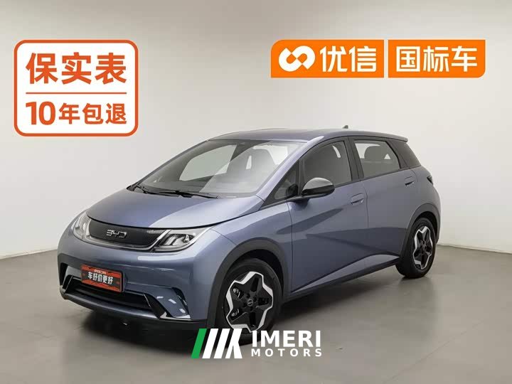 BYD Dolphin 420km Vitality Edition