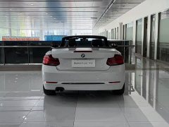 BMW 2 Series (Imported) 2019 225i Convertible Sports Design Package - ფოტო 6