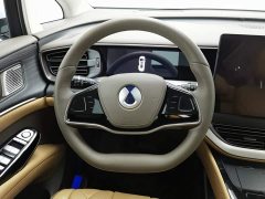 Denza BYD Denza D9 2022 DM-i 970 AWD Premium Edition - ფოტო 11