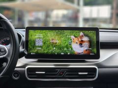 Geely Bingyue 1.4T DCT Diamond Edition - ფოტო 15