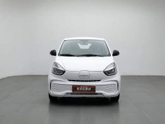 SAIC Corey Wei CLEVER 302km New Four-Seat Super Version - ფოტო 3