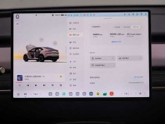 Nio Lerado L60 2024 60kWh Rear-Wheel Drive - ფოტო 13