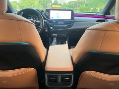 Lexus ES 2022 200 Excellence Edition - ფოტო 13