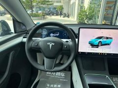 Tesla Model Y 2022 Rear-Wheel Drive - ფოტო 9
