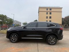 Haval H6 Third Generation 1.5T Automatic Two-Wheel Drive Max - ფოტო 10
