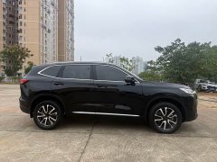 Haval H6 Third Generation 1.5T Automatic Two-Wheel Drive Max - ფოტო 5