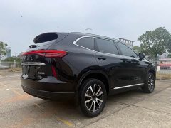 Haval H6 Third Generation 1.5T Automatic Two-Wheel Drive Max - ფოტო 6