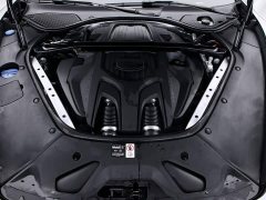Porsche 2024 Panamera Executive Extended Wheelbase 2.9T - ფოტო 20