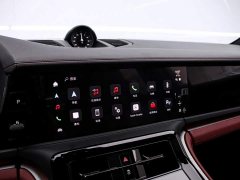 Porsche 2024 Panamera Executive Extended Wheelbase 2.9T - ფოტო 8
