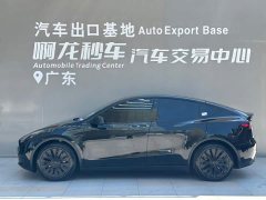 Tesla Model Y 2022 Facelift Rear-Wheel Drive - ფოტო 3